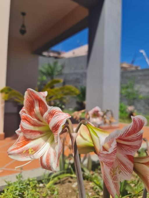 Villa Casa Da Portada Seixal  Esterno foto